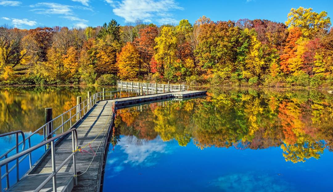 Morris County Insurance Adjuster