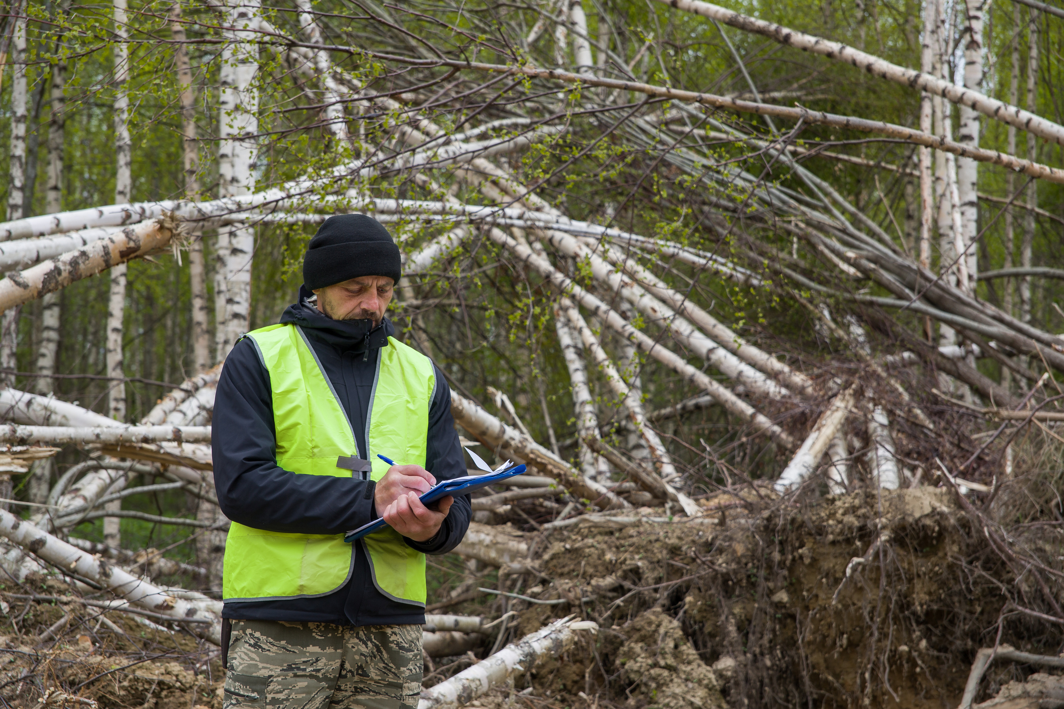 Natural Disaster Insurance Adjuster NJ